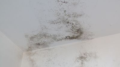 Bolor em parede de casa causado por humidade excessiva - prevenção e tratamento - Casa em Dia Maia